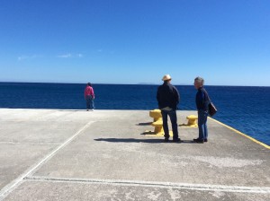 IMG 2659